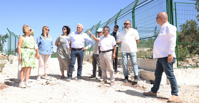 Başkan Şadi Özdemir sokak hayvanları için hazırlanan projeyi inceledi