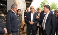Osmangazi’de kurban satış ve kesim alanları hizmete hazır