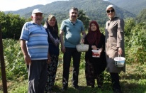 Yıldırım’da tarladan sofraya kadın eli