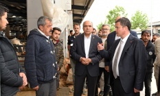 Osmangazi’de kurban satış ve kesim alanları hizmete hazır