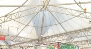 54 Pazar İçin 54 Yönetici