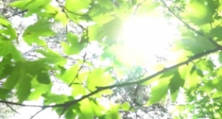  Bursalılar burada nefes alacak