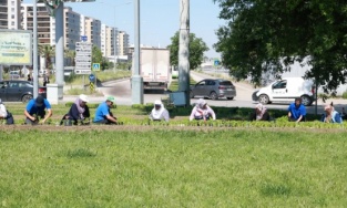 Osmangazi’nin her yeri çiçeklerle donatılıyor