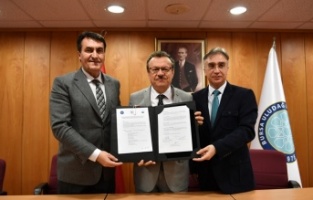 Sokak hayvanlarına 24 saat tedavi