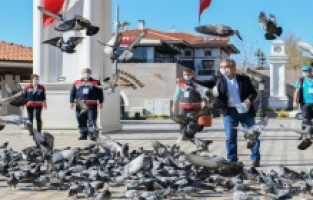 Ankara'da sokak hayvanlarını unutmadı