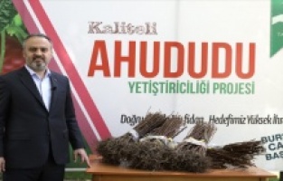 Bursa Büyükşehir’den 125 bin ahududu fidesi