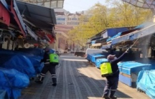 Covid-19'a da haşereye de geçit yok