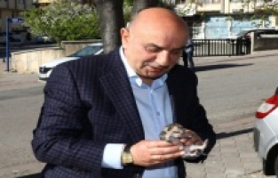 Keçiören’de minik kediye Başkan Altınok sahip çıktı