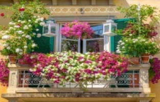 Ankara’da ev estetiği yarışması