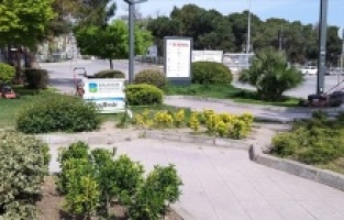 Balıkesir’de yeşil alanların bakımı yapılıyor