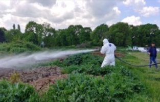 Bursa’da haşereyle etkin mücadele