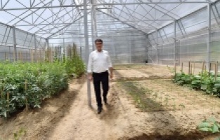 Osmangazi’de milli tarım, milli huzur