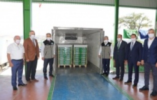 Bursa siyah inciri dünya pazarlarında