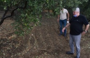 Dolu vurdu belediye yetişti