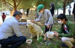 Başkan Yılmaz, ‘Can Dostu’ sahiplendirdi