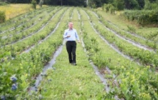 İnegöl tarımı şahlanıyor