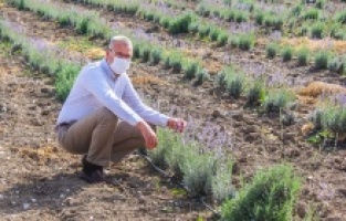 Karacabey’in dört bir yanı ‘yemyeşil’ olacak