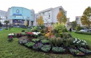 Yıldırım’da kış çiçekleri toprakla buluşuyor