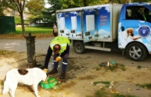 Can dostlara 62 ton mama