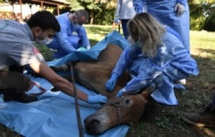 Can Dostlara Şifa Dağıtıldı