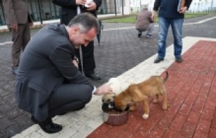 İnegöl Belediyesi 7700 can dostuna şifa oldu