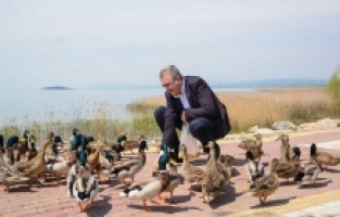 Karacabey Belediyesi pandemide de can dostlarımızı unutmuyor