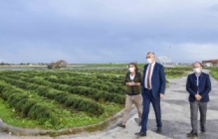 Karacabey’de binlerce fidan toprakla buluşuyor