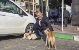 Can dostlarımız Karacabey’de güvence altında