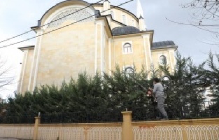 Şehrin dört bir yanında budama çalışmaları sürüyor