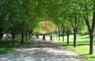 Bursa Botanik Park 15 gün daha kapalı kalacak