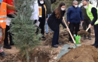 Sağlık Kahramanları Ormanı