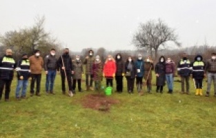 Bursa Hamamlıkızık’ta 500 fidan dikildi