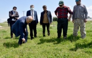 Bursa Yenişehir'de mera ıslah çalışmalarına başlandı