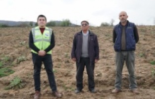 Bursa: Atıl araziler 20 yıl sonra çiçek açtı