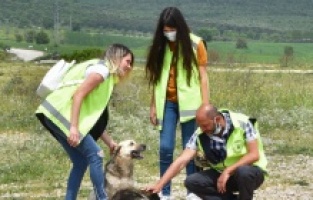 Bursa: Gönüllüler can dostlar için yasağı deldi