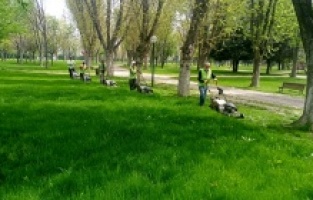 Bursa: Yeşil Bursa yaza hazırlanıyor