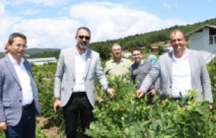 İznik: Yaban Mersini festival ile taçlandı