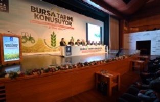 Büyükşehir destekliyor, tarım güçleniyor