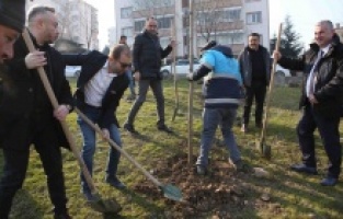 Fidanlar toprakla buluştu