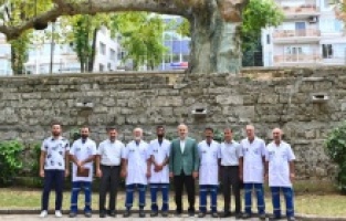 Asırlık çınarlar, ‘Çınar hekimleri’ ile güvende