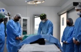 Osmangazi, can dostlara hem şifa hem yuva