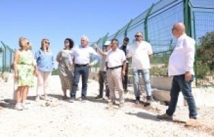 Başkan Şadi Özdemir sokak hayvanları için hazırlanan projeyi inceledi