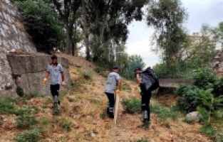 Temiz çevre için güç birliği