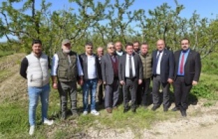 Başkan Aydın zirai don mağduru çiftçileri yalnız bırakmadı