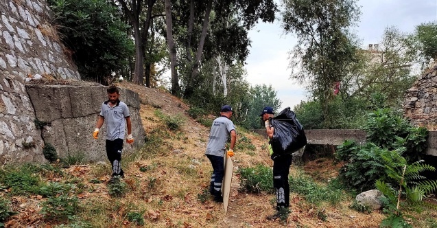 Temiz çevre için güç birliği