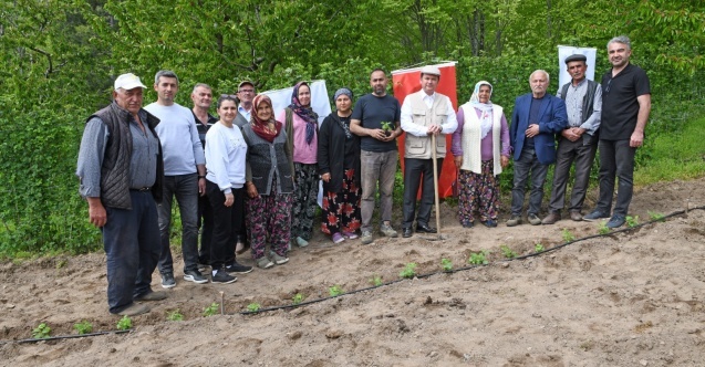 Osmangazi Belediyesi’nden tarımsal üretimde önemli adım