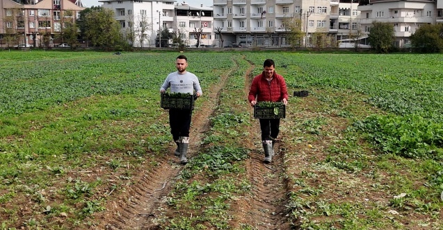Osmangazi Belediyesi doğal üretimle sofralara sağlık sunuyor