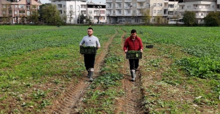 Osmangazi Belediyesi doğal üretimle sofralara sağlık sunuyor